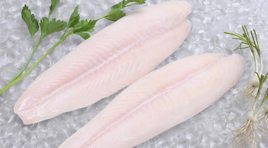 toptan donmuş deniz ürünleri