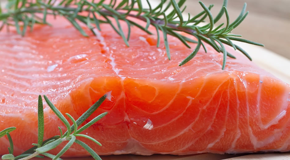 toptan donmuş deniz ürünleri